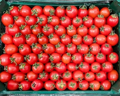 تصویر 4 از گوجه فرنگی ریز سبک رژیمی سالم